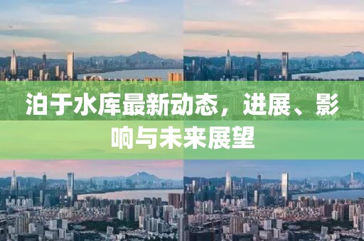 泊于水库最新动态，进展、影响与未来展望