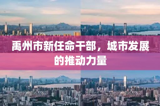 禹州市新任命干部，城市发展的推动力量