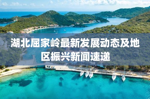 湖北屈家岭最新发展动态及地区振兴新闻速递