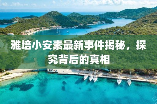 雅培小安素最新事件揭秘，探究背后的真相