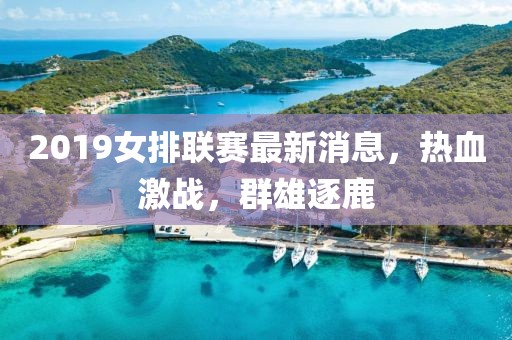 2019女排联赛最新消息，热血激战，群雄逐鹿