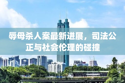 辱母杀人案最新进展，司法公正与社会伦理的碰撞