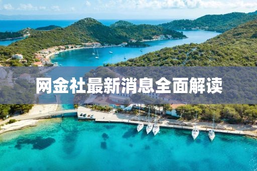 网金社最新消息全面解读