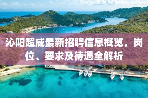 沁阳超威最新招聘信息概览，岗位、要求及待遇全解析