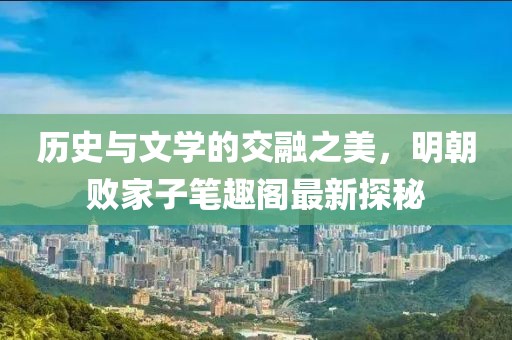 历史与文学的交融之美，明朝败家子笔趣阁最新探秘