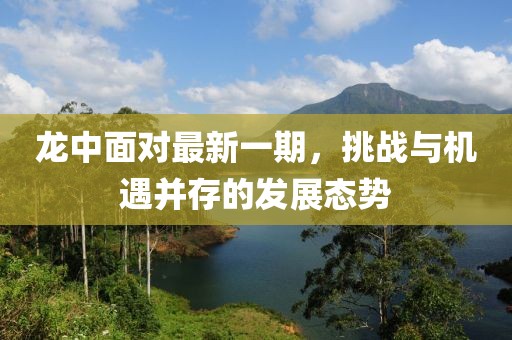 龙中面对最新一期，挑战与机遇并存的发展态势