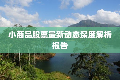 小商品股票最新动态深度解析报告