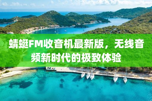 蜻蜓FM收音机最新版，无线音频新时代的极致体验