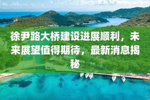 徐尹路大桥建设进展顺利，未来展望值得期待，最新消息揭秘