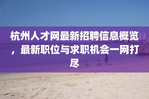 杭州人才网最新招聘信息概览，最新职位与求职机会一网打尽