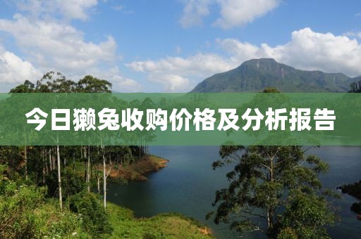 今日獭兔收购价格及分析报告