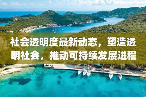 社会透明度最新动态，塑造透明社会，推动可持续发展进程
