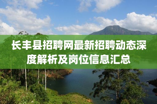 长丰县招聘网最新招聘动态深度解析及岗位信息汇总