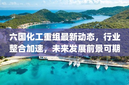 六国化工重组最新动态，行业整合加速，未来发展前景可期