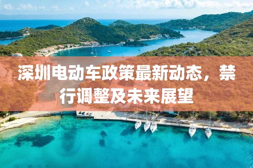 深圳电动车政策最新动态，禁行调整及未来展望