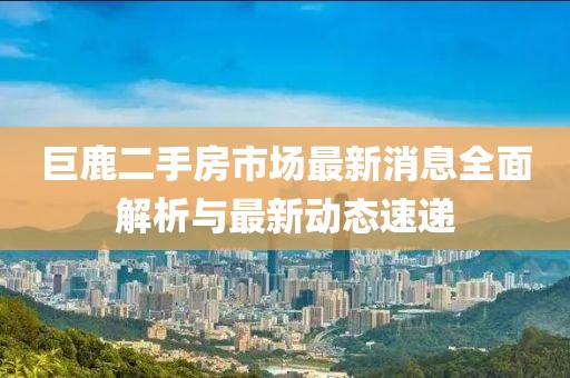 巨鹿二手房市场最新消息全面解析与最新动态速递