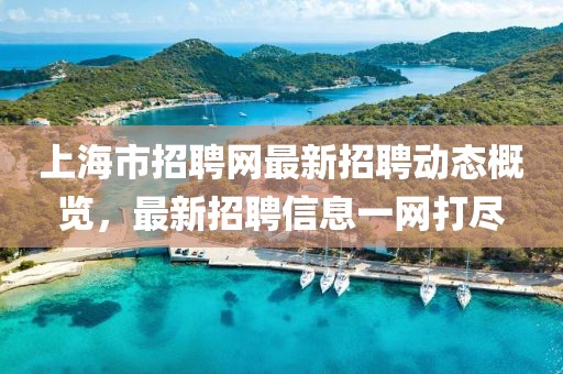 上海市招聘网最新招聘动态概览，最新招聘信息一网打尽