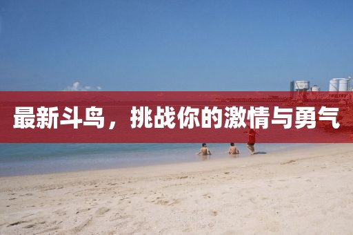 最新斗鸟，挑战你的激情与勇气