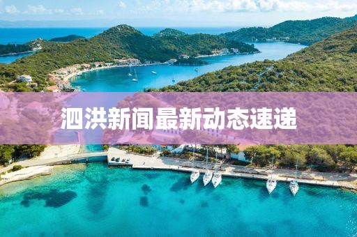 泗洪新闻最新动态速递