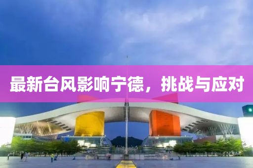最新台风影响宁德，挑战与应对