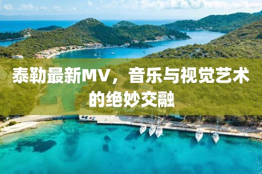 泰勒最新MV，音乐与视觉艺术的绝妙交融