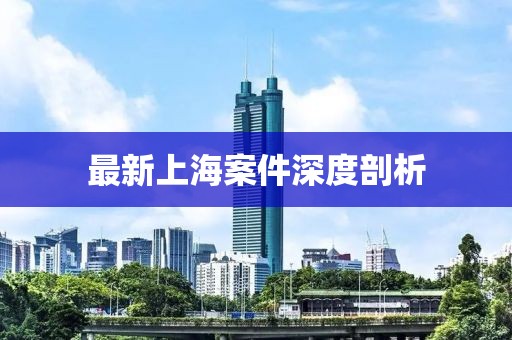 最新上海案件深度剖析