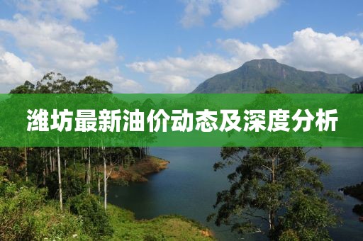 2025年2月 第71页