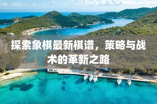 探索象棋最新棋谱，策略与战术的革新之路