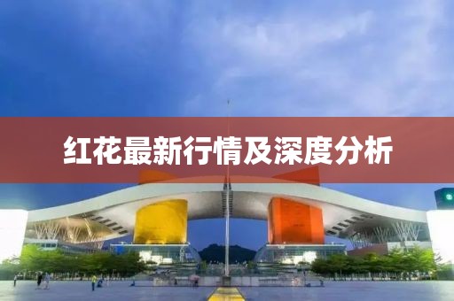 红花最新行情及深度分析