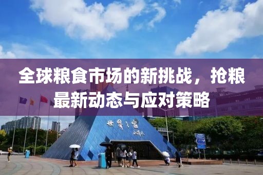 全球粮食市场的新挑战，抢粮最新动态与应对策略