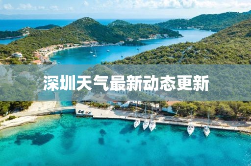 深圳天气最新动态更新