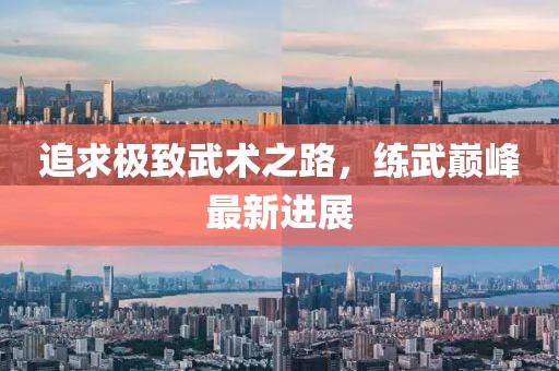 追求极致武术之路，练武巅峰最新进展