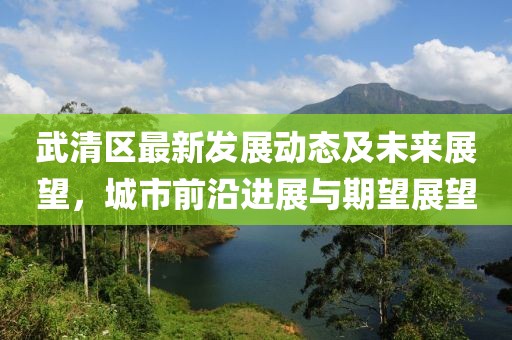 武清区最新发展动态及未来展望，城市前沿进展与期望展望