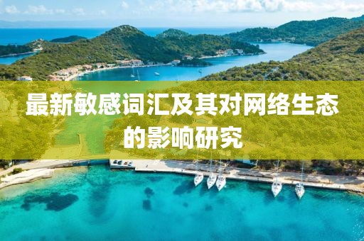 最新敏感词汇及其对网络生态的影响研究