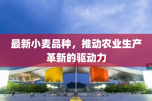 最新小麦品种，推动农业生产革新的驱动力