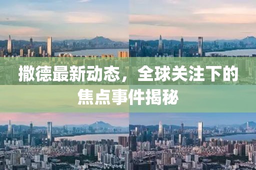 撒德最新动态，全球关注下的焦点事件揭秘