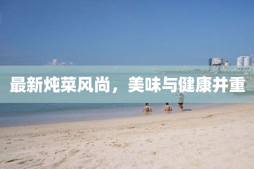 最新炖菜风尚，美味与健康并重