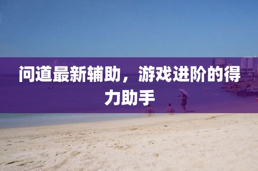 问道最新辅助，游戏进阶的得力助手