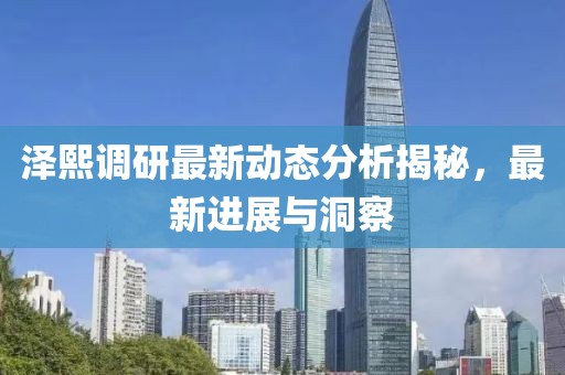 泽熙调研最新动态分析揭秘，最新进展与洞察