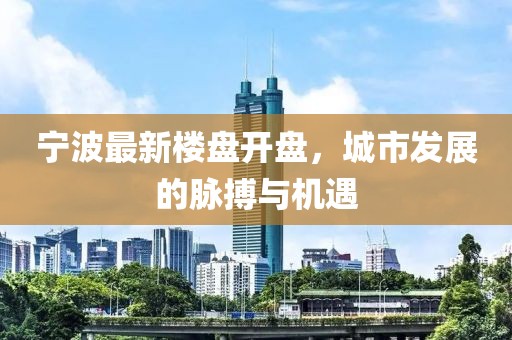 宁波最新楼盘开盘，城市发展的脉搏与机遇