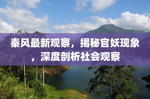 秦风最新观察，揭秘官妖现象，深度剖析社会观察