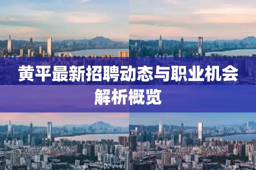黄平最新招聘动态与职业机会解析概览