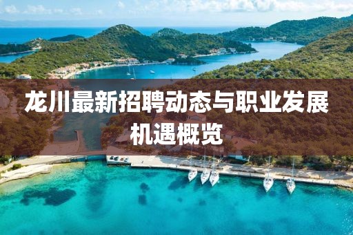 龙川最新招聘动态与职业发展机遇概览