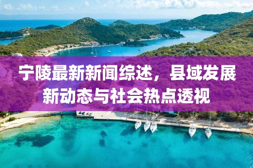 宁陵最新新闻综述，县域发展新动态与社会热点透视