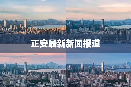正安最新新闻报道