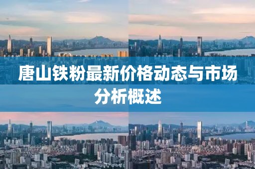 唐山铁粉最新价格动态与市场分析概述