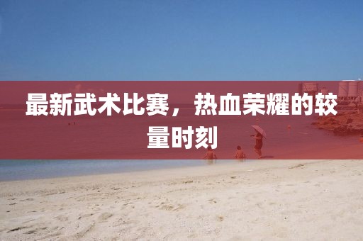 最新武术比赛，热血荣耀的较量时刻