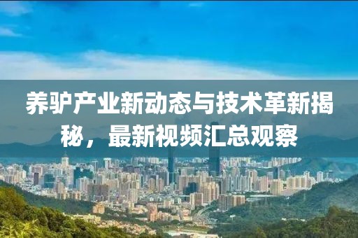 2025年3月 第285页