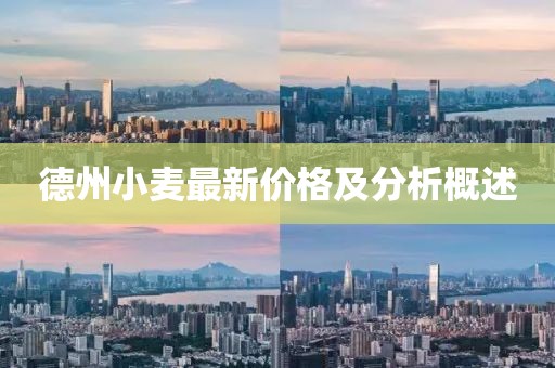 德州小麦最新价格及分析概述
