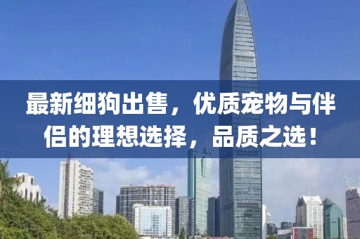 最新细狗出售，优质宠物与伴侣的理想选择，品质之选！